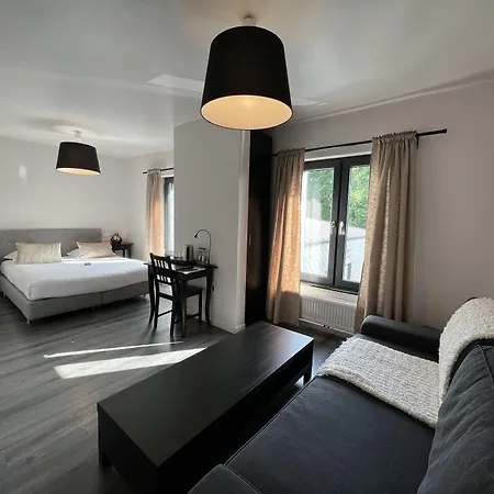 ホテル Restaurant Lamy トロワヴィエルジュ