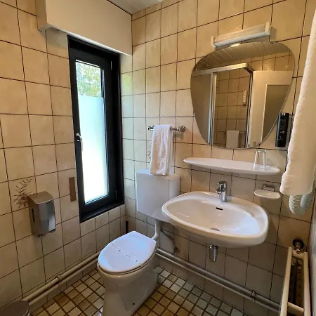 Restaurant Lamy 3* 特鲁瓦维耶日