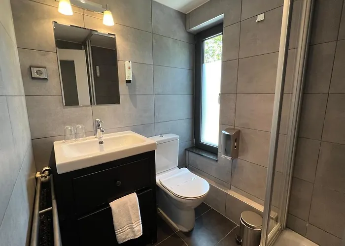 酒店 Restaurant Lamy 3*