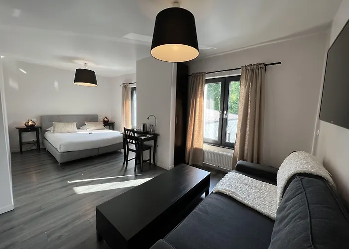 酒店 Restaurant Lamy 特鲁瓦维耶日